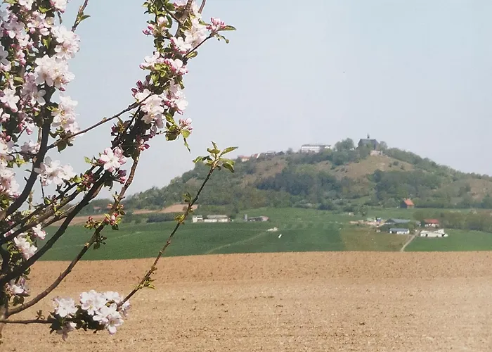 In By Interhome Apartamento