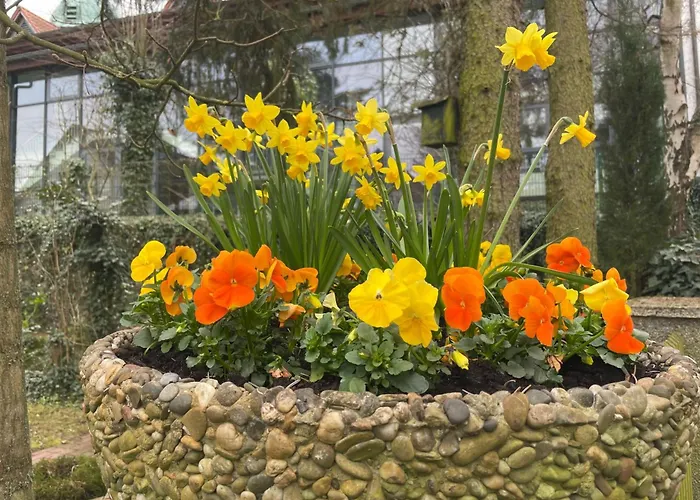 In By Interhome Apartamento *