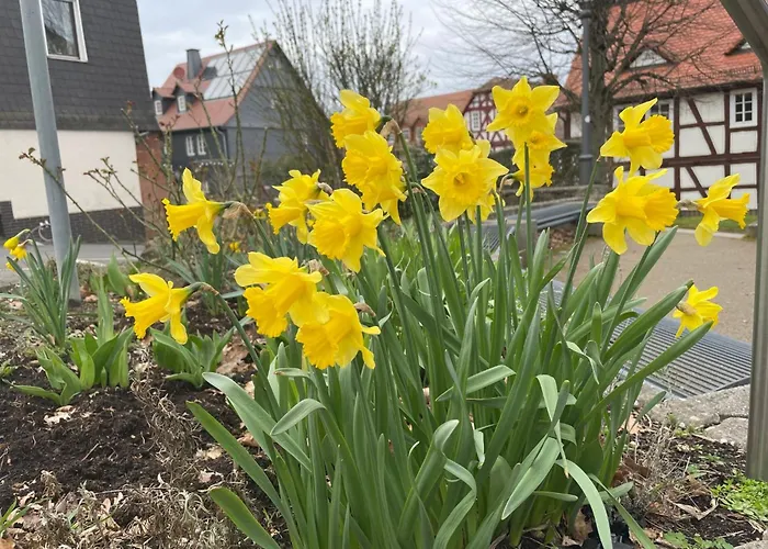 In By Interhome Apartamento